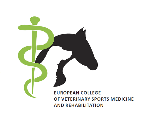 Retrospective study on clinical findings, treatment details and outcome in foals with rupture of the common digital extensor tendon