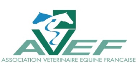 Longitudinal study of vertical head and pelvic movement asymmetry in event horses